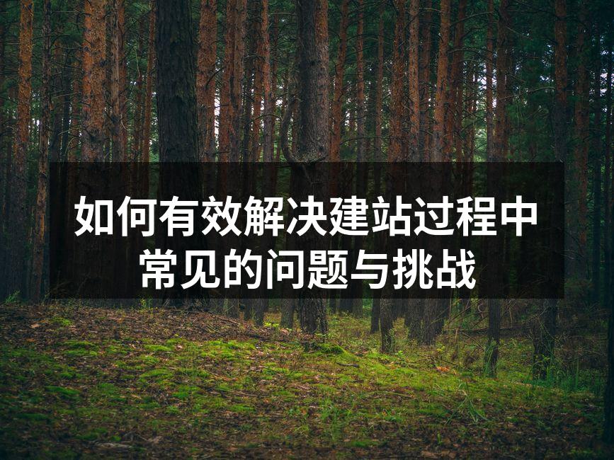 有效的域名选择
